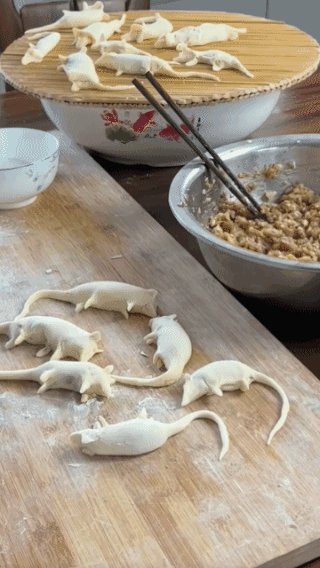 你对老鼠情有独钟吗？