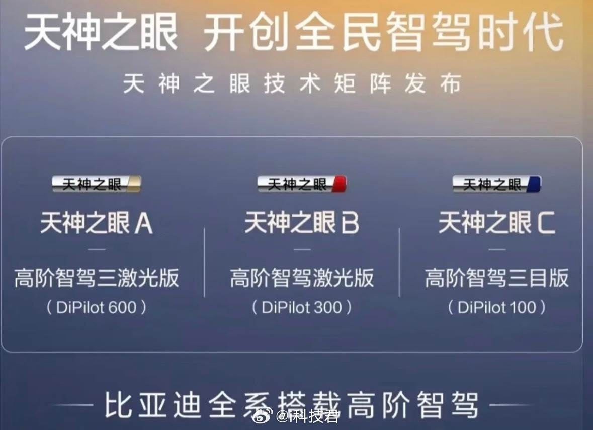 刷到好几条消息，说比亚迪四月还有重磅的技术发布会，和辅助驾驶有关的，坐等看看，买