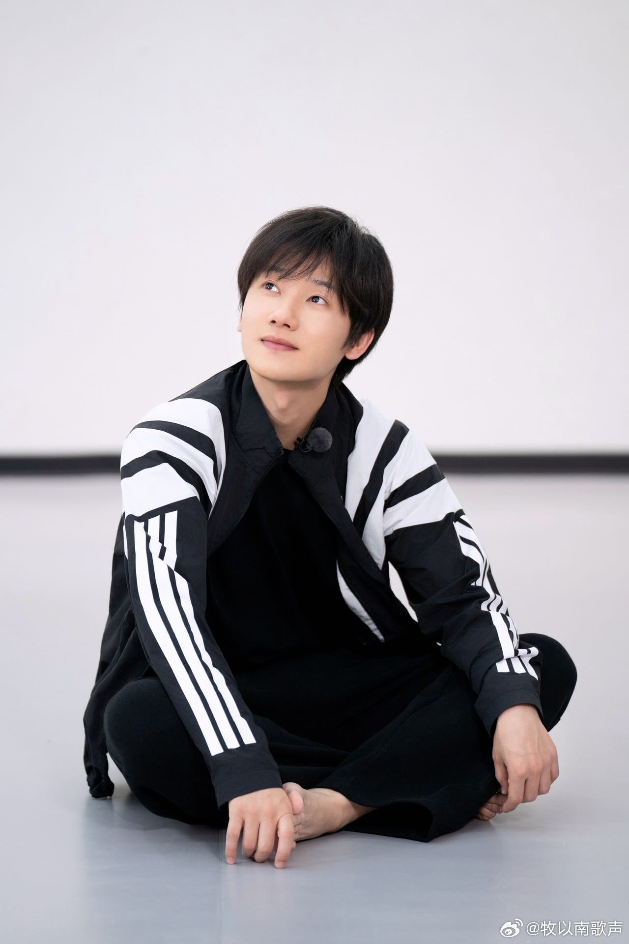 蒋敦豪三狗新组合名叫狗墩子蒋敦豪三狗新组合名叫狗墩子起名鬼才李飞上线！蒋敦豪被