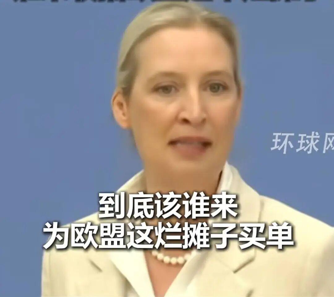 欧洲要变天了！德国现任政府正在遭受内外夹击，留给默茨的时间不多了。近日，德国