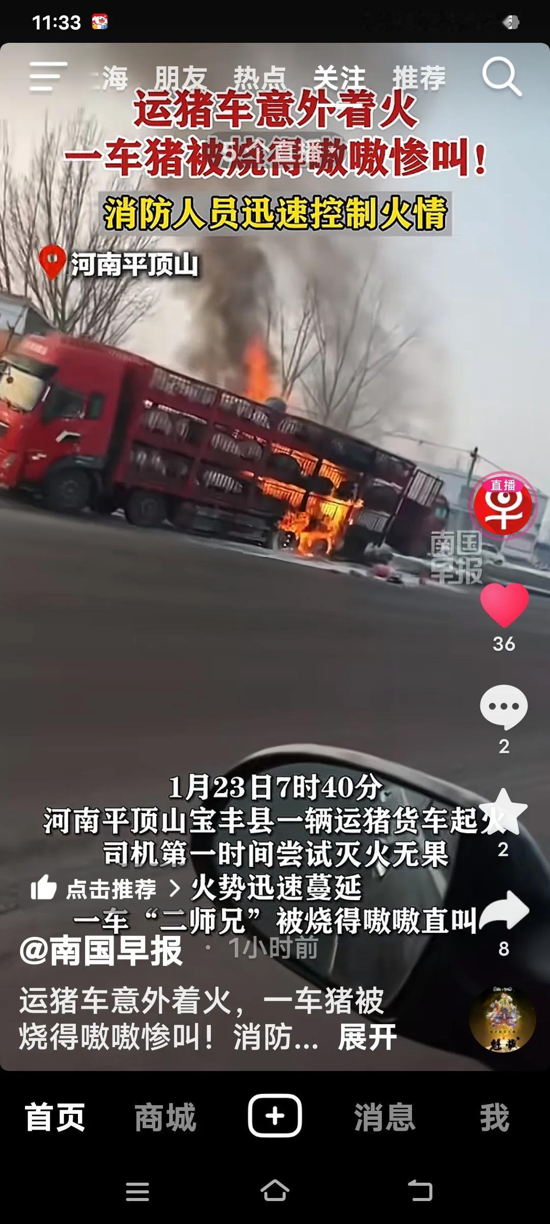 1月23日，河南平顶山一辆运猪车失火，司机第一时间尝试灭火无果，还好当地消防工作