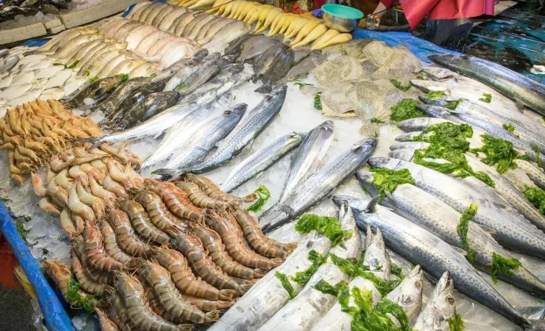 带狗进餐厅吃饭被砸600套餐具！网友吵翻：店主是暴躁还是忍无可忍？最近这