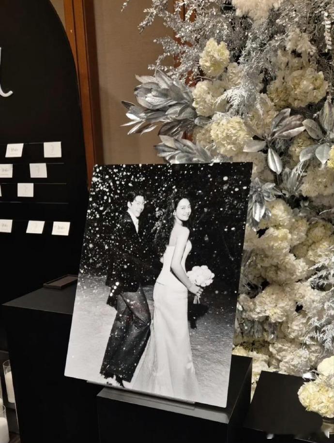 金宇彬申敏儿婚礼现场图皑皑白雪中牵手回眸，远看氛围感拉满，近看金宇彬申敏儿俩人太