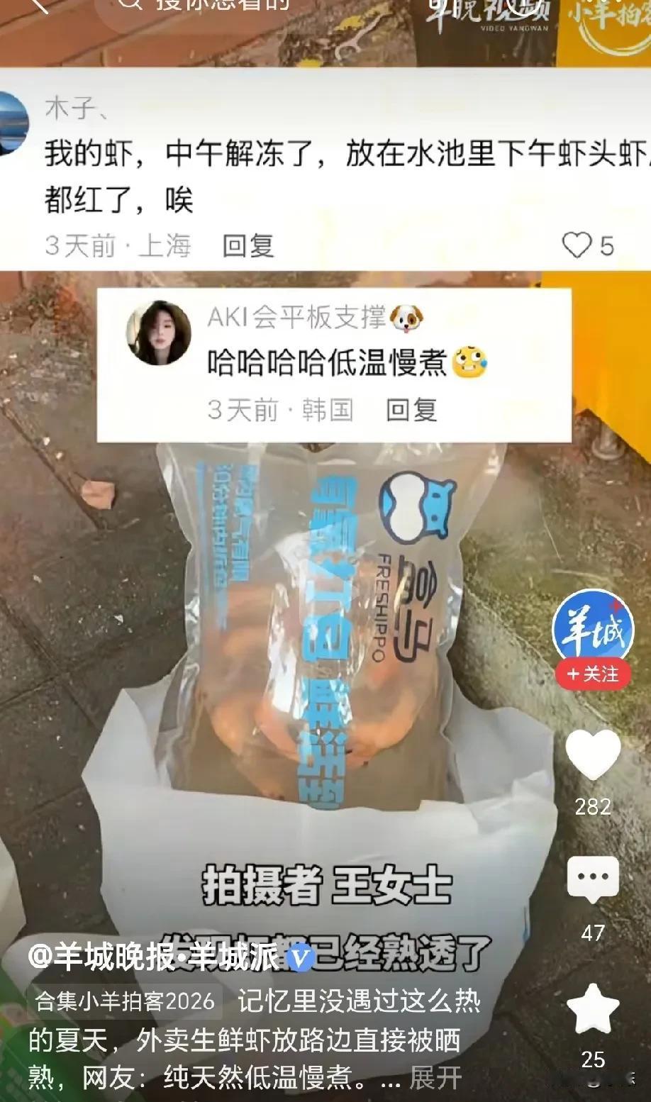 上海，女子下楼取快递时意外发现路边有一袋活虾，一个个活蹦乱跳的，第二天经过此处，