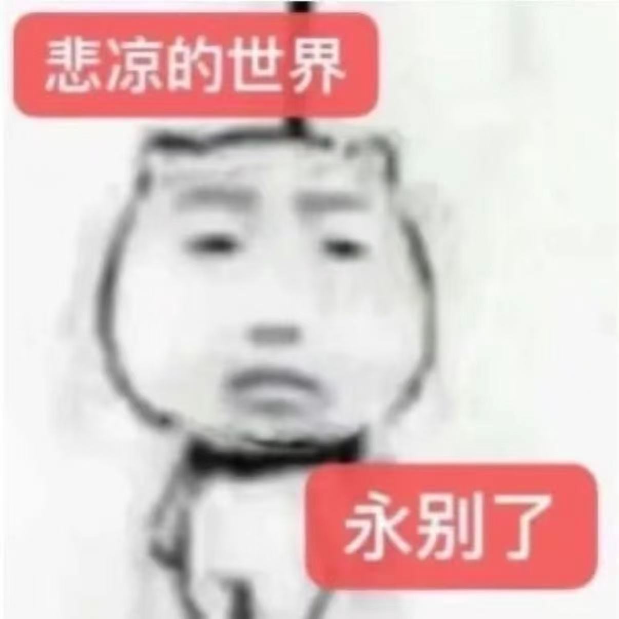 忙里偷闲已经形容不了我了，我现在是死里偷活。