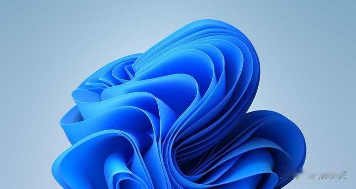 如果洗澡时你的壁纸冲了进来，你会怎么办？Win11默认壁纸我这张壁纸该怎么