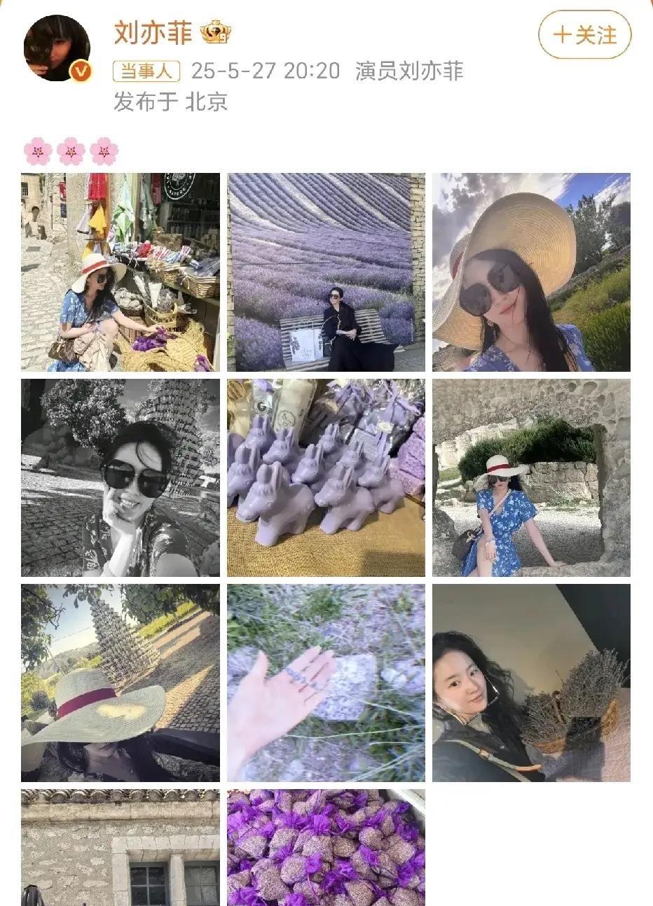 救命！刘亦菲又来“美貌鲨人”了！5月27日她甩出的新照，几朵小花配一袭蓝裙，直接