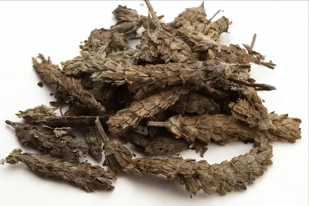 夏桑菊，夏天降火良药那天有一个粉丝来问我，说自己头晕，还有点偏痛，是怎么回事