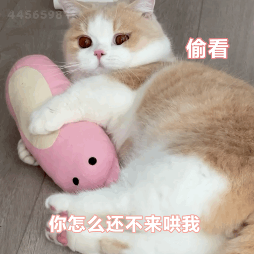 十二星座冷战后谁先低头？一分钟都憋不住的——白羊、射手憋不过三天的——双子、天秤