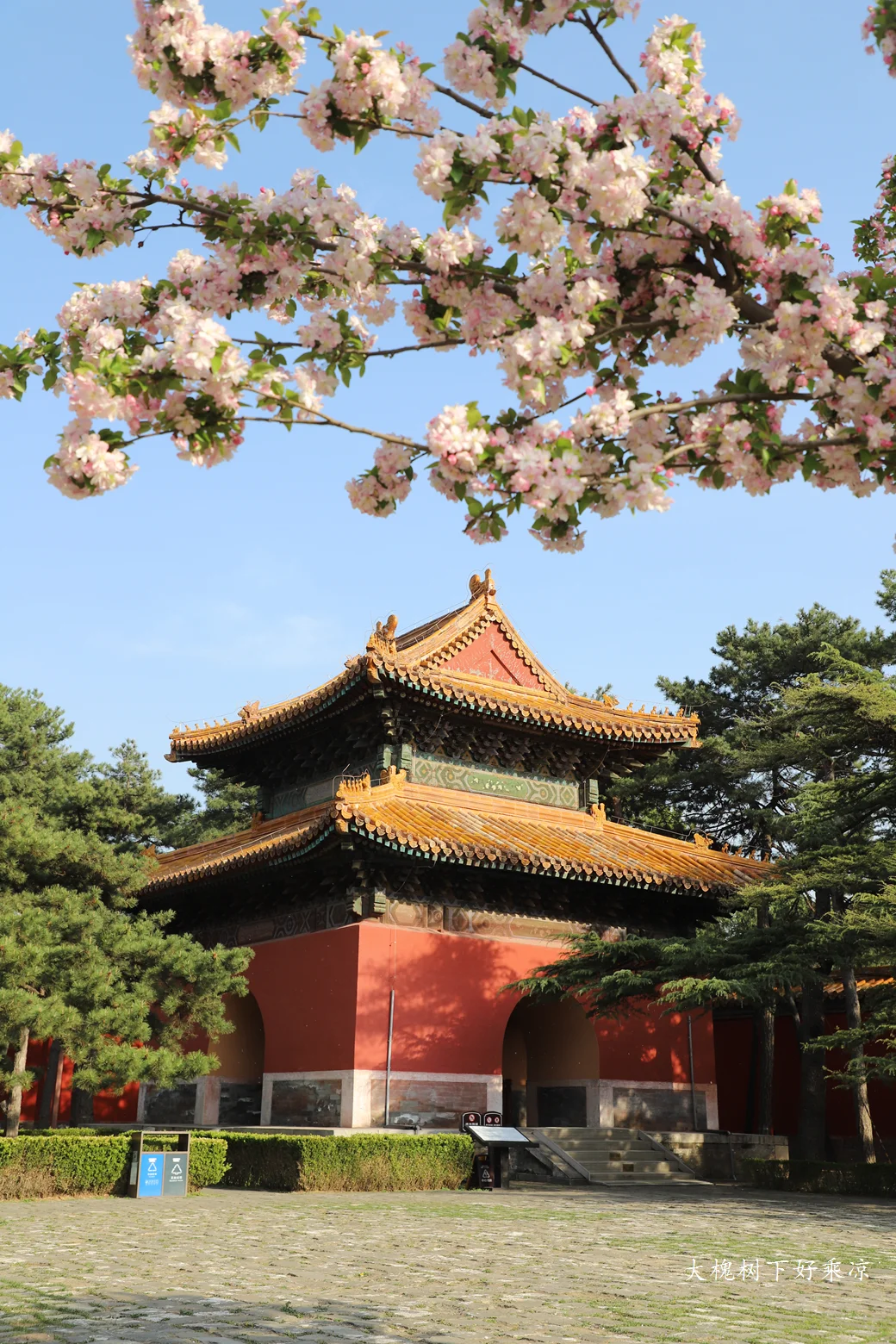 长陵花开，值得你期待