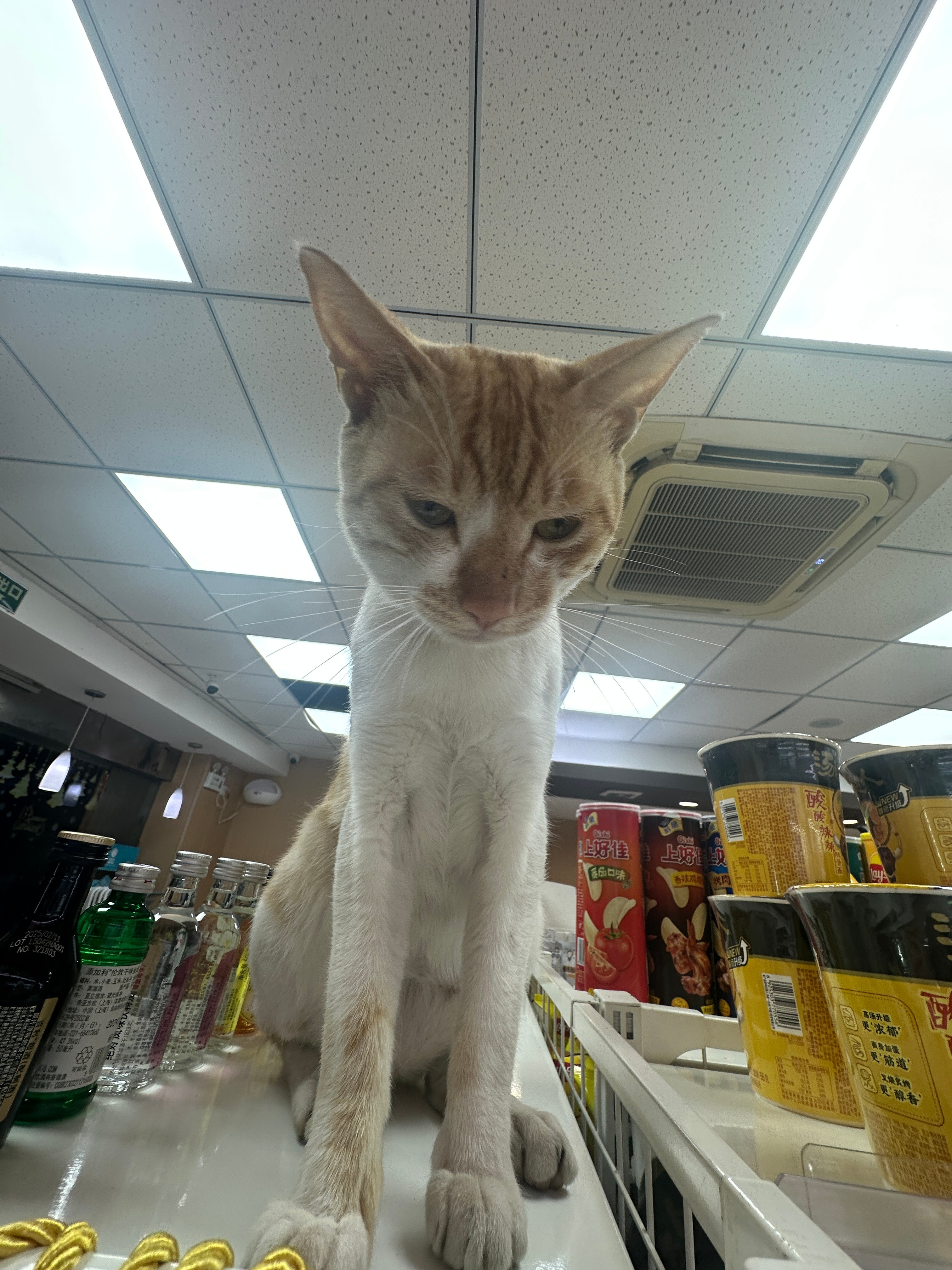 请评价本宝摄影技术​​​
