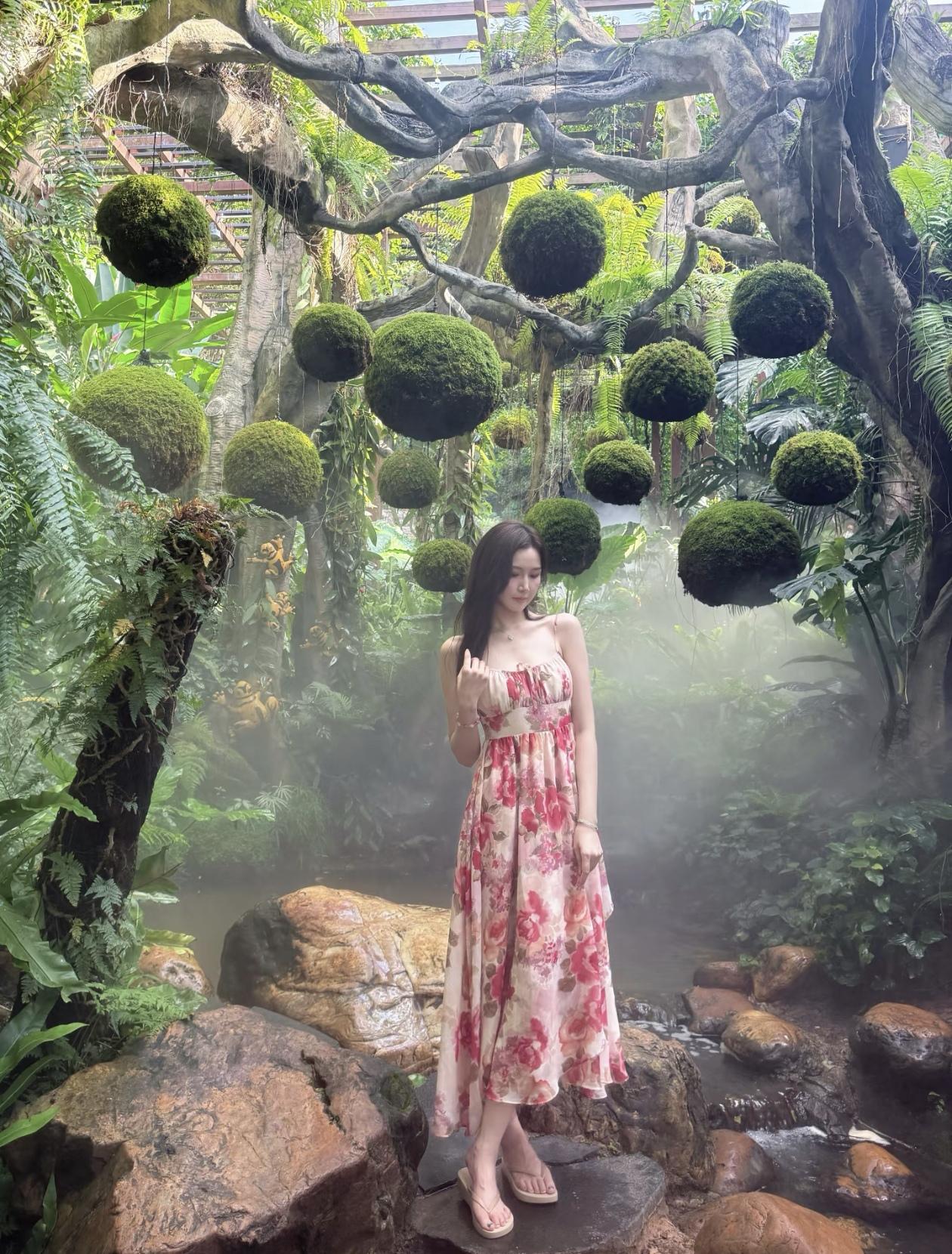 被绿植包围的夏天