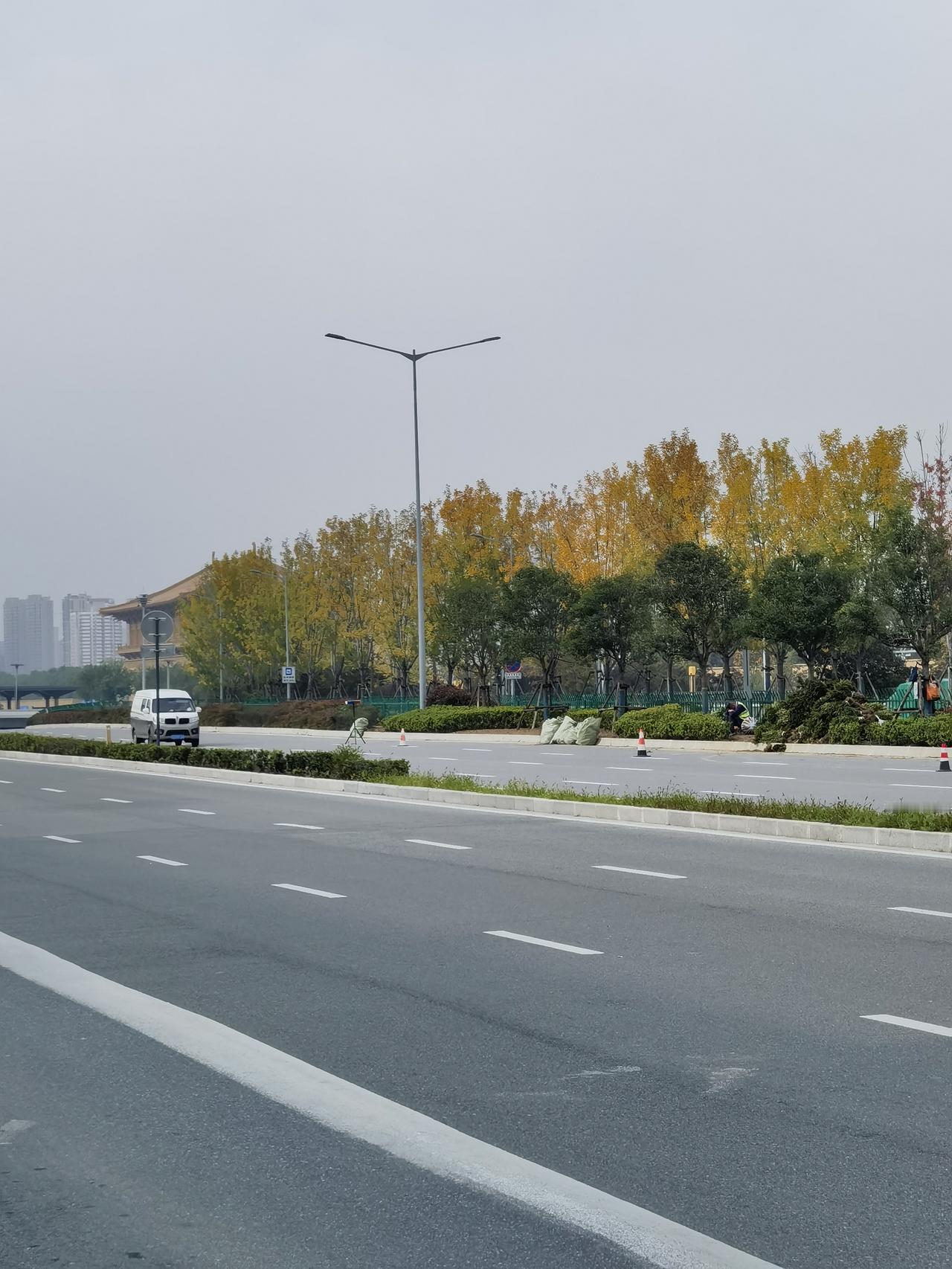 随手一拍雨后美连续下雨四十多天的刚刚出太阳的西安街头景色,一派金黄色深秋景象