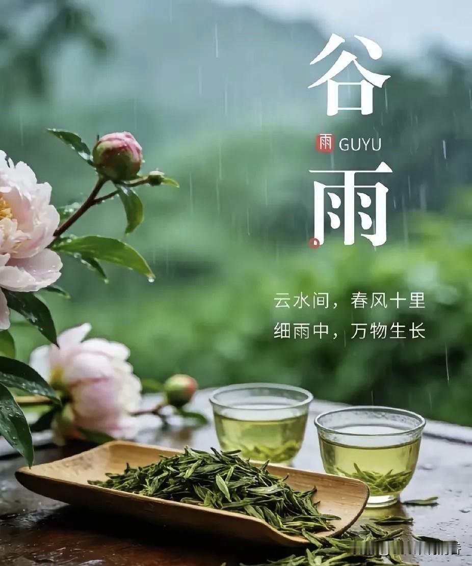 有关谷雨节气的20条民间谚语：1、谷雨前后一场雨，胜似秀才中了举。2、谷