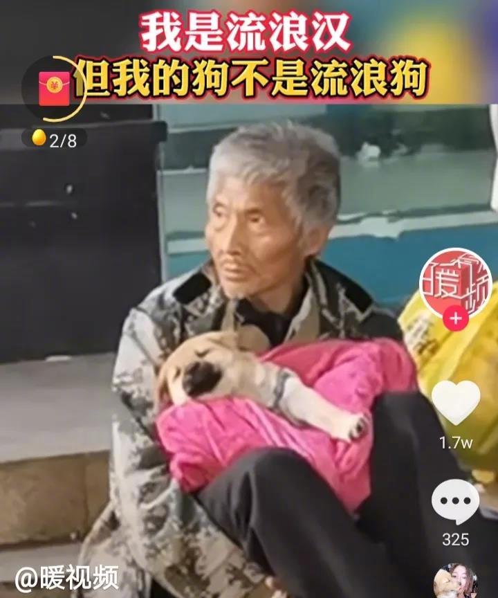 海南海口一流浪汉把唯一一块好毯子给了狗狗取暖，狗狗被流浪汉养得胖胖的，一副幸福的