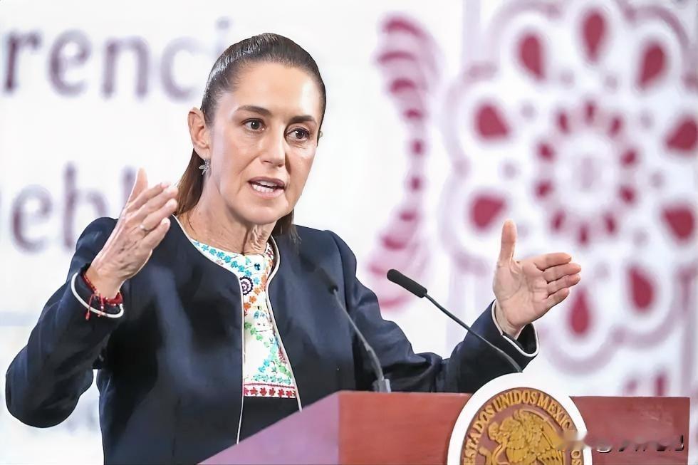 人善被人欺，马善被人骑。这句话放在今天的国际贸易里，照样戳中要害。202