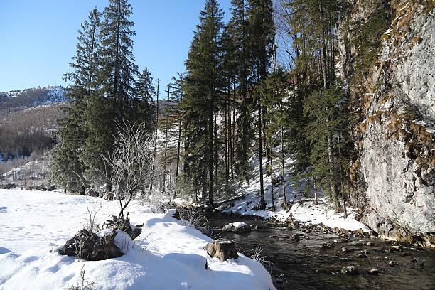 一位哲学老师说：普通人真正的幸福，不是活成别人，而是终于敢做自己。很多普通人