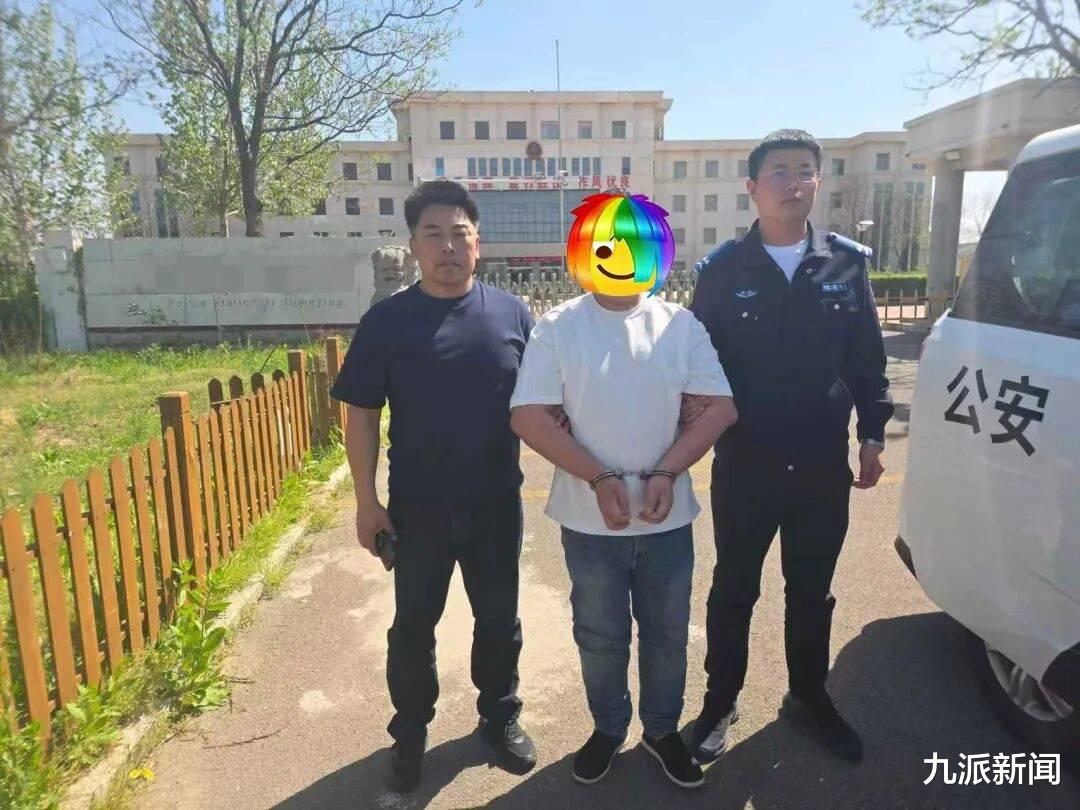 多名老人因免费领鸡蛋被骗50余万元