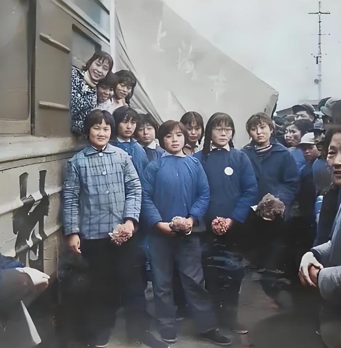 1979年12月，距离广州中心城区十几公里外的新洲畜牧场，空气中永远弥漫着一股猪