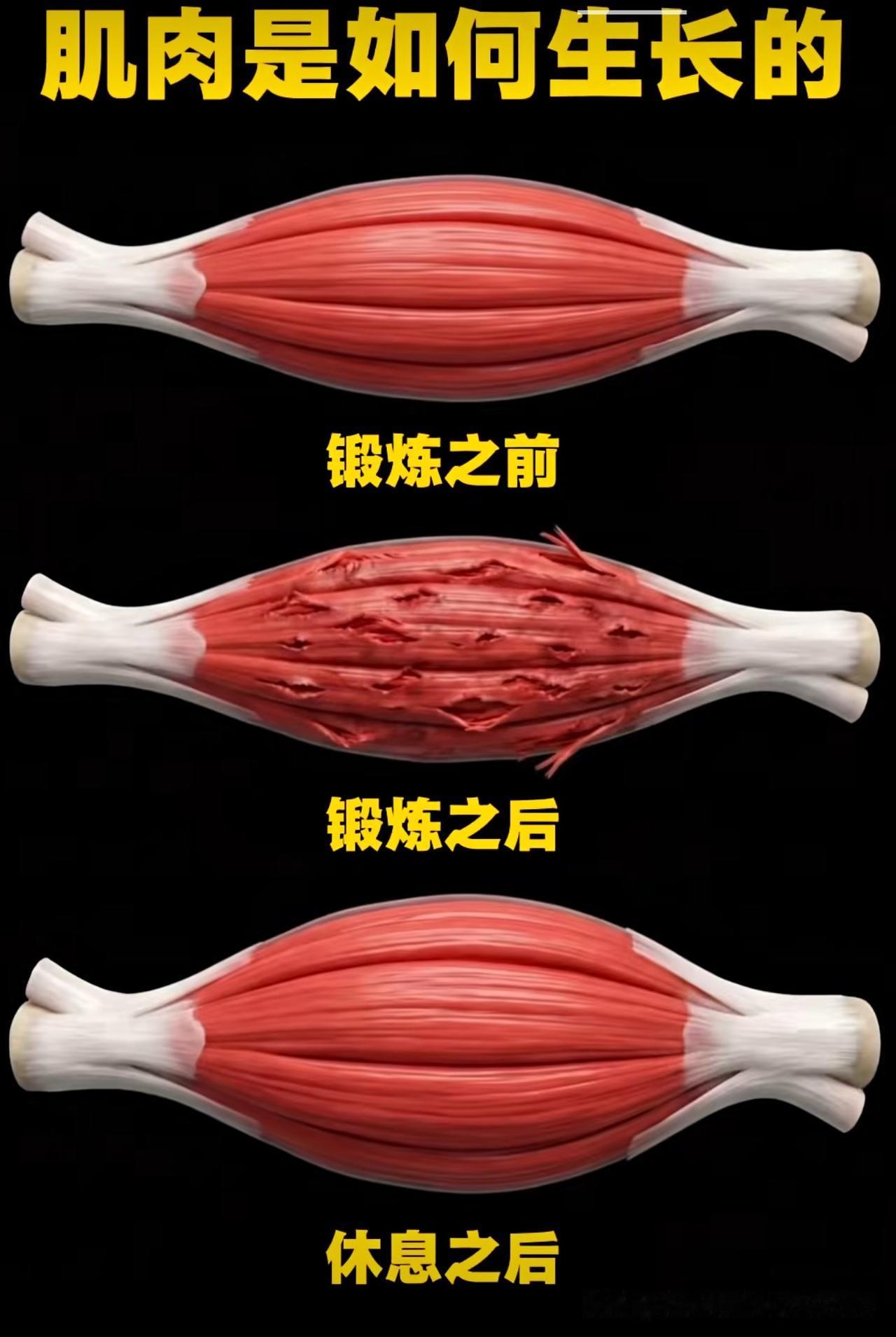 看了一个“跑步人的腿”的视频，在小腿完全放松的情况下，小腿背面的肉肉很稀稀糊糊的