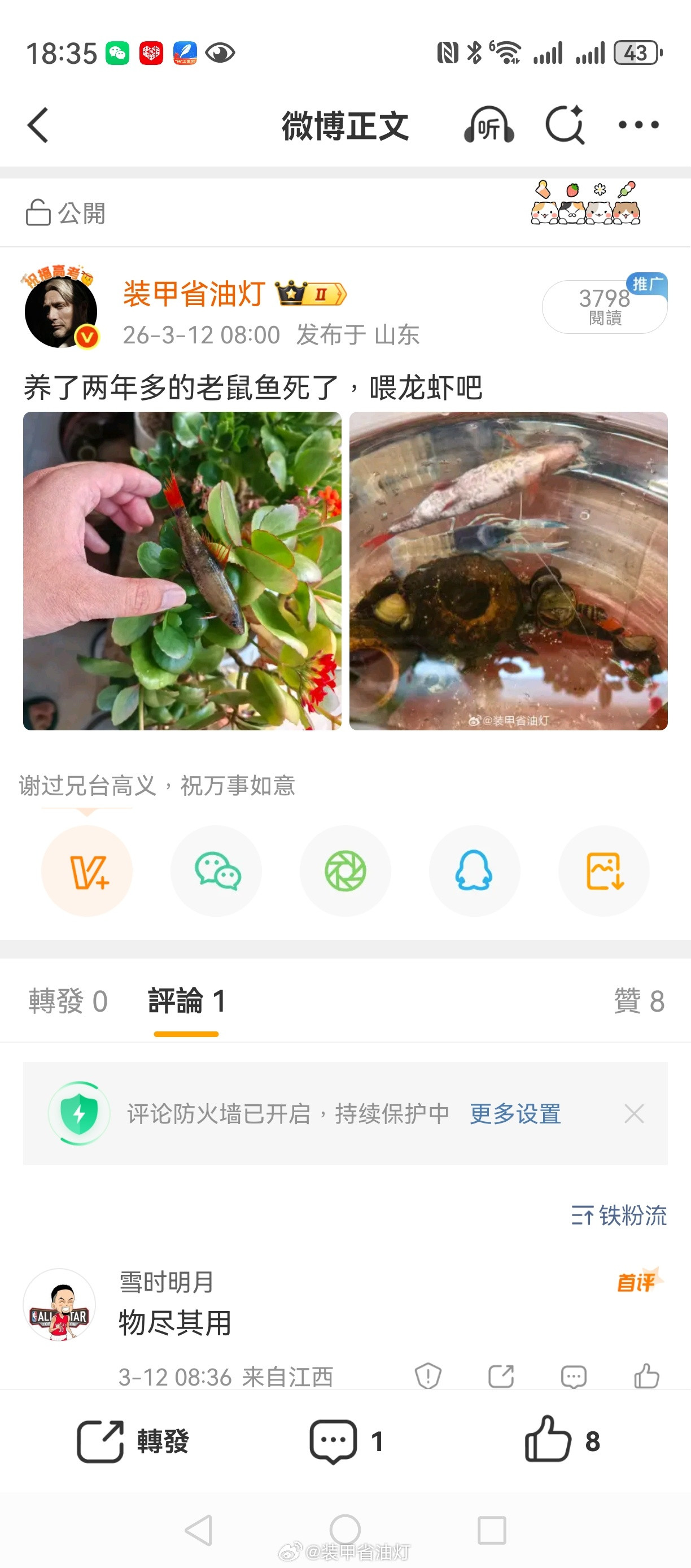昨天一早，养了2年的鱼死了，鱼身上没有外伤，想着那就喂龙虾吧，也算物尽其用……龙