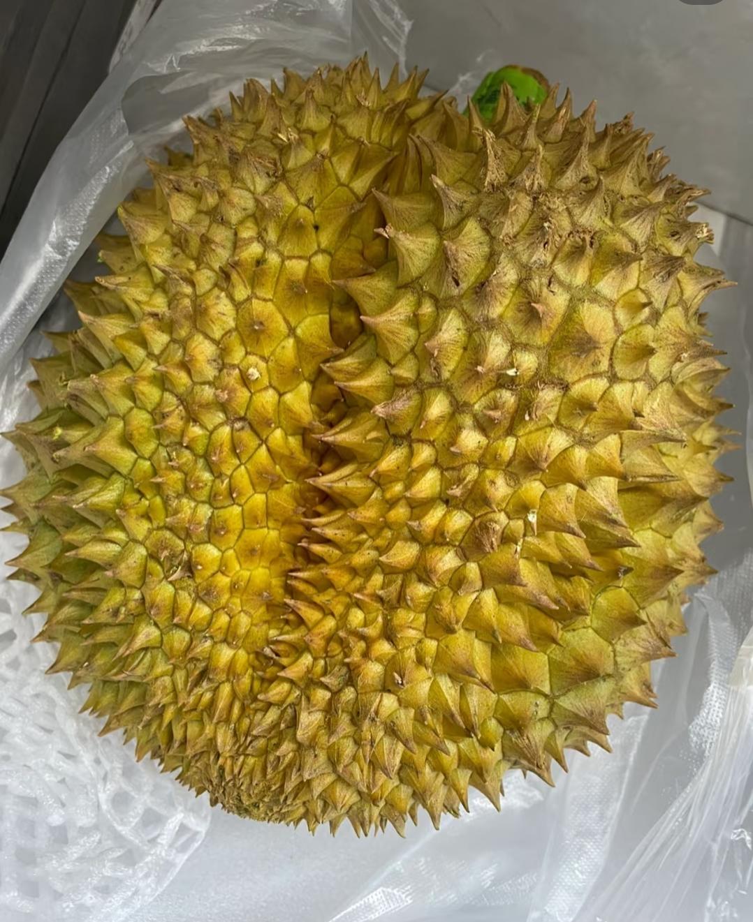 昨天弟弟和弟媳来我家，我提前买了个榴莲来招待他们，我正准备开了来吃，弟媳妇就说榴