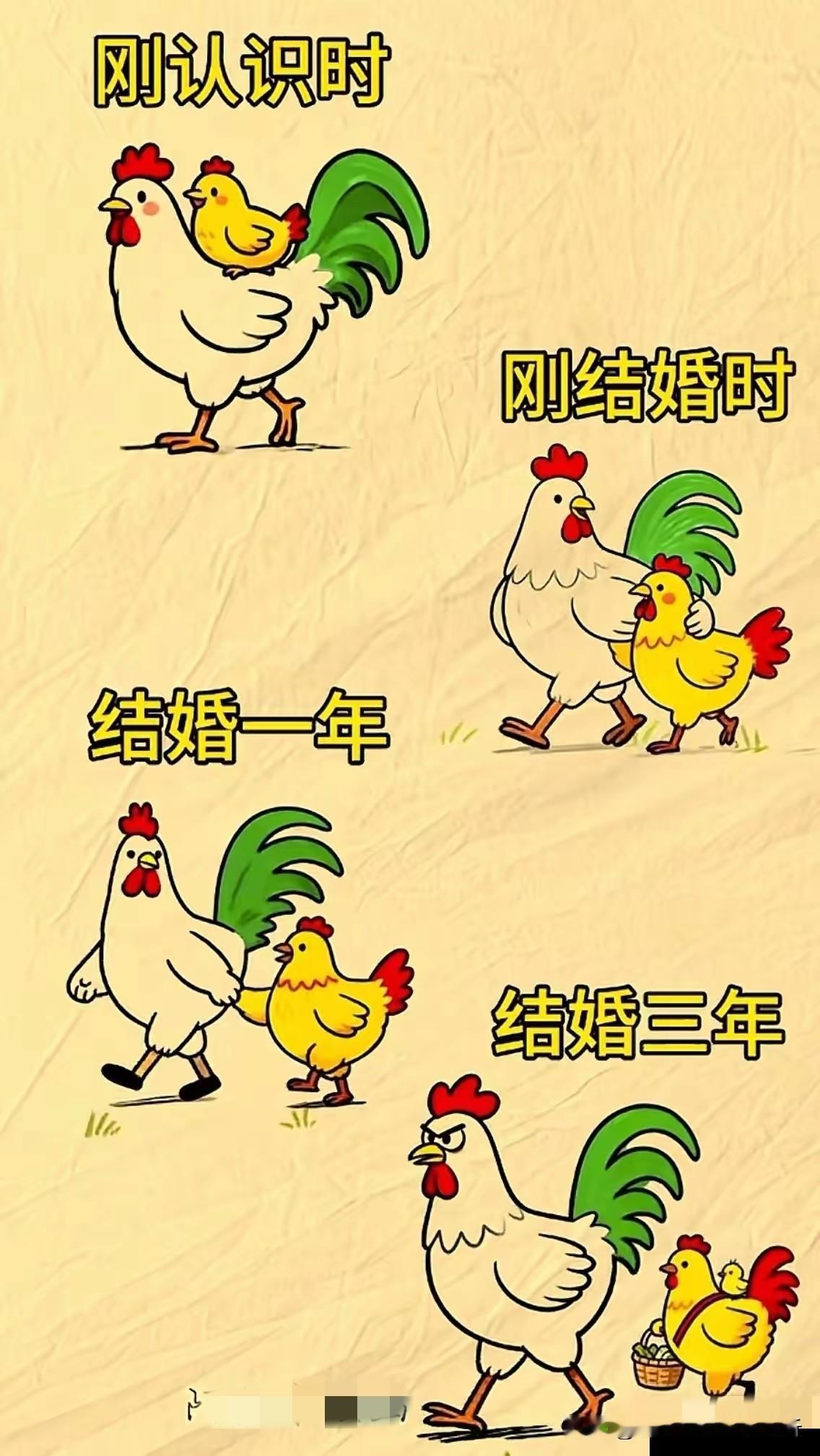 这是2000年以前的男人，现在男人地位没落了