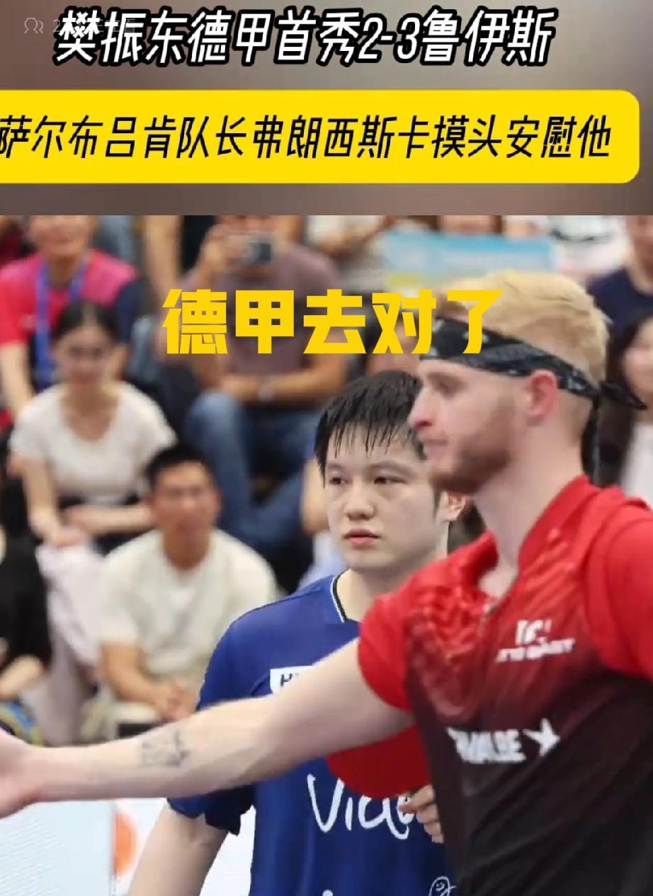 樊振东德甲去对了！虽然会有舆论压力，但咱们真真正正学到东西了[赞]，咱慢热的习惯