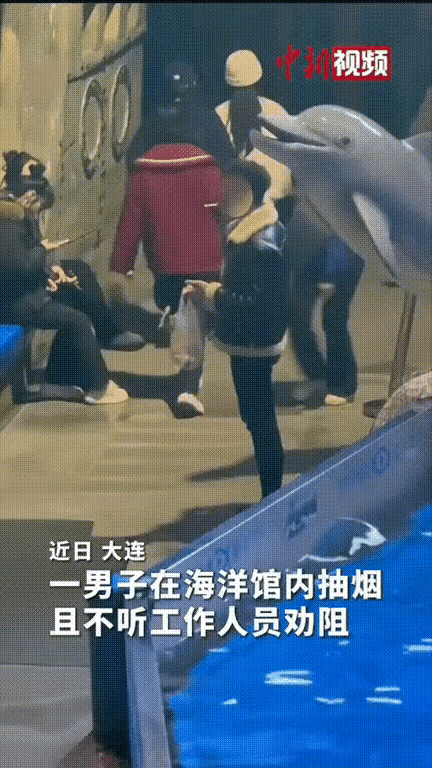 笑不活了！海洋馆惊现“最强禁烟监督员”，白鲸一口水浇灭烟头，比保安还管用