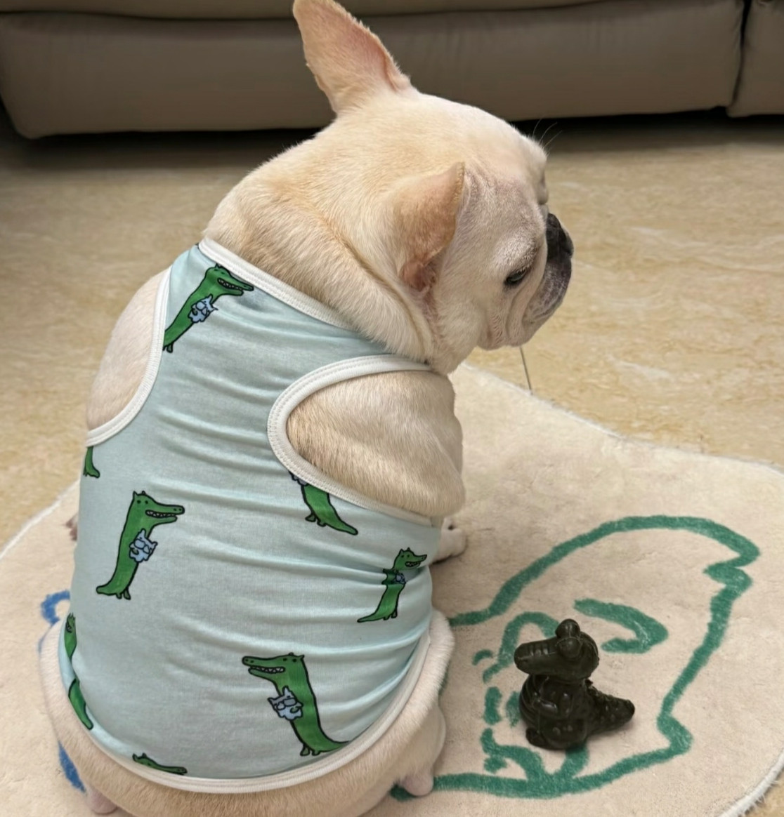 狗子:怎么感觉总闻到一股鸡腿味儿呢