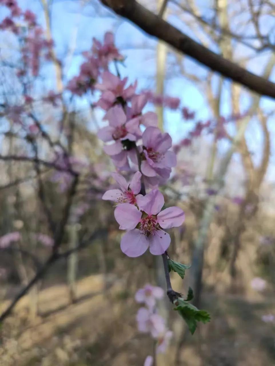 我也发现一个特别真实的事：不是有钱就一定温柔，有的人日子一顺，心反而更硬了。