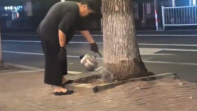 “太离谱了！”沈阳一大妈连续两周晚上，提着一壶开水去小区路边浇树。邻居开始都以为
