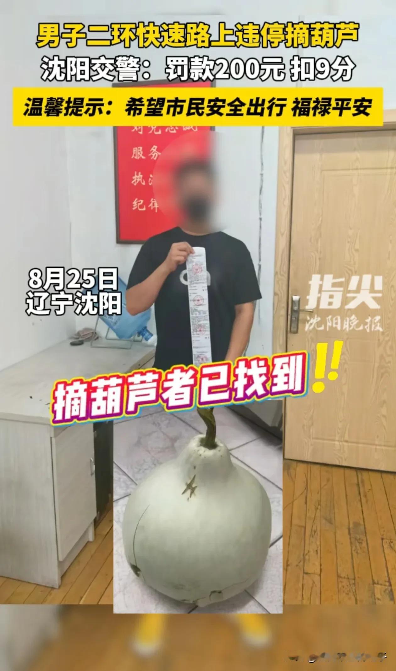 沈阳二环路大葫芦被摘，真的是应了那句话，坏人挖空心思，不如蠢人灵机一动，两口子