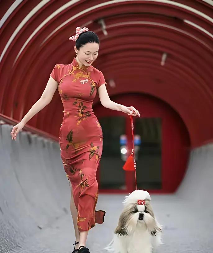 杜江爱霍思燕是有原因的她不但小富婆一枚​​霍思燕拍杂志时是带着家里养的各种宠