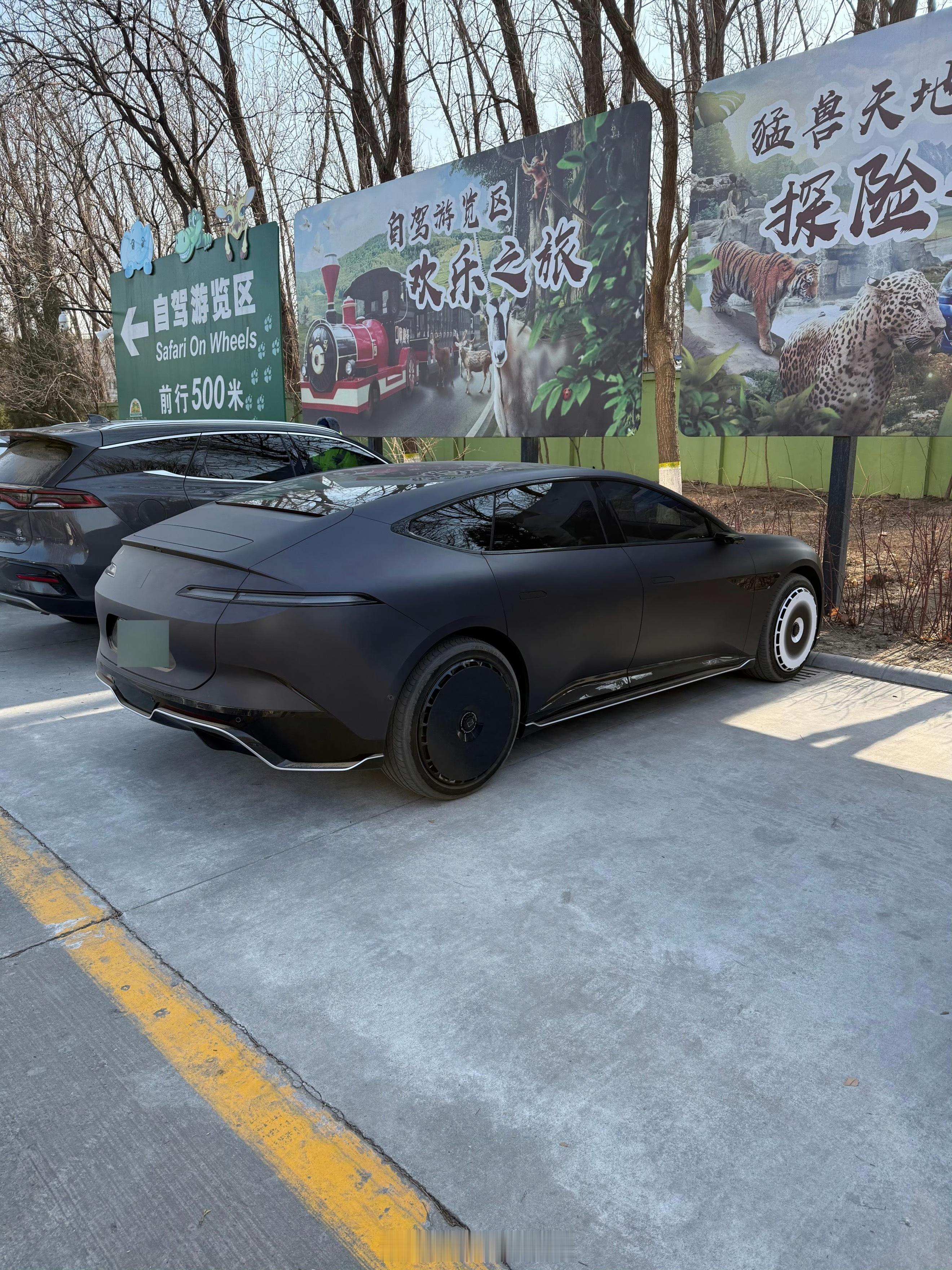 好家伙，这个阿维塔12改的，有点非主流