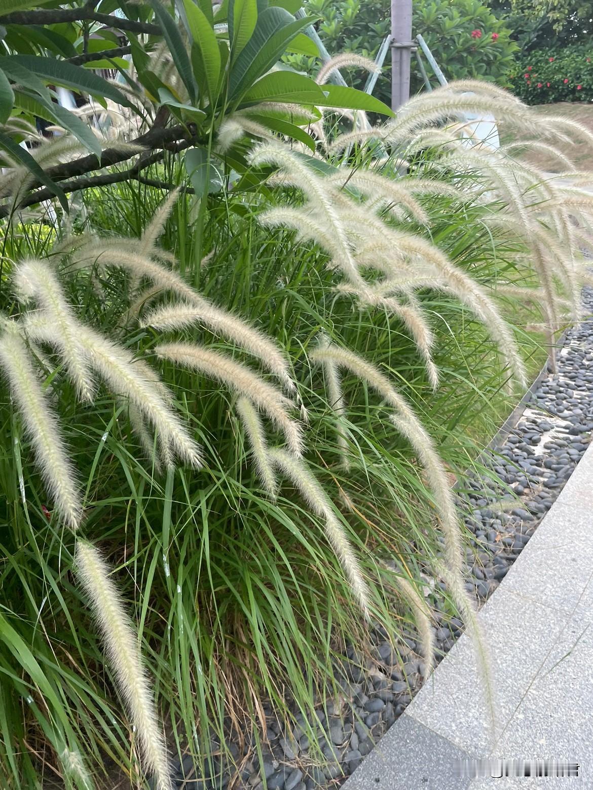 离婚又马上复婚，就是拿婚姻当玩笑。一女子，10年前和现在老公离婚了，后面没隔多久