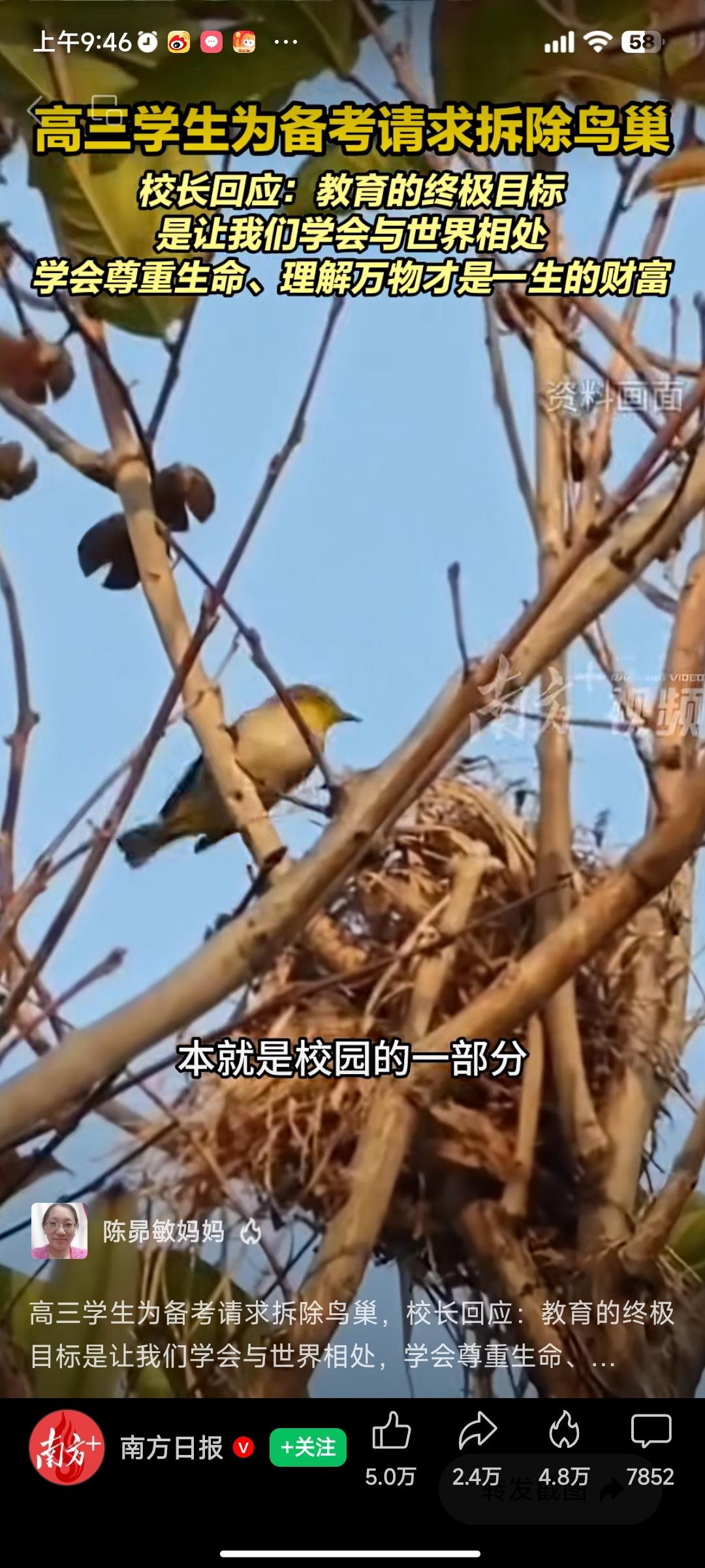 深圳宝安中学袁校长给学生的一封信火了，起因是高三学生给他写信，说窗外一种噪鹃鸟，