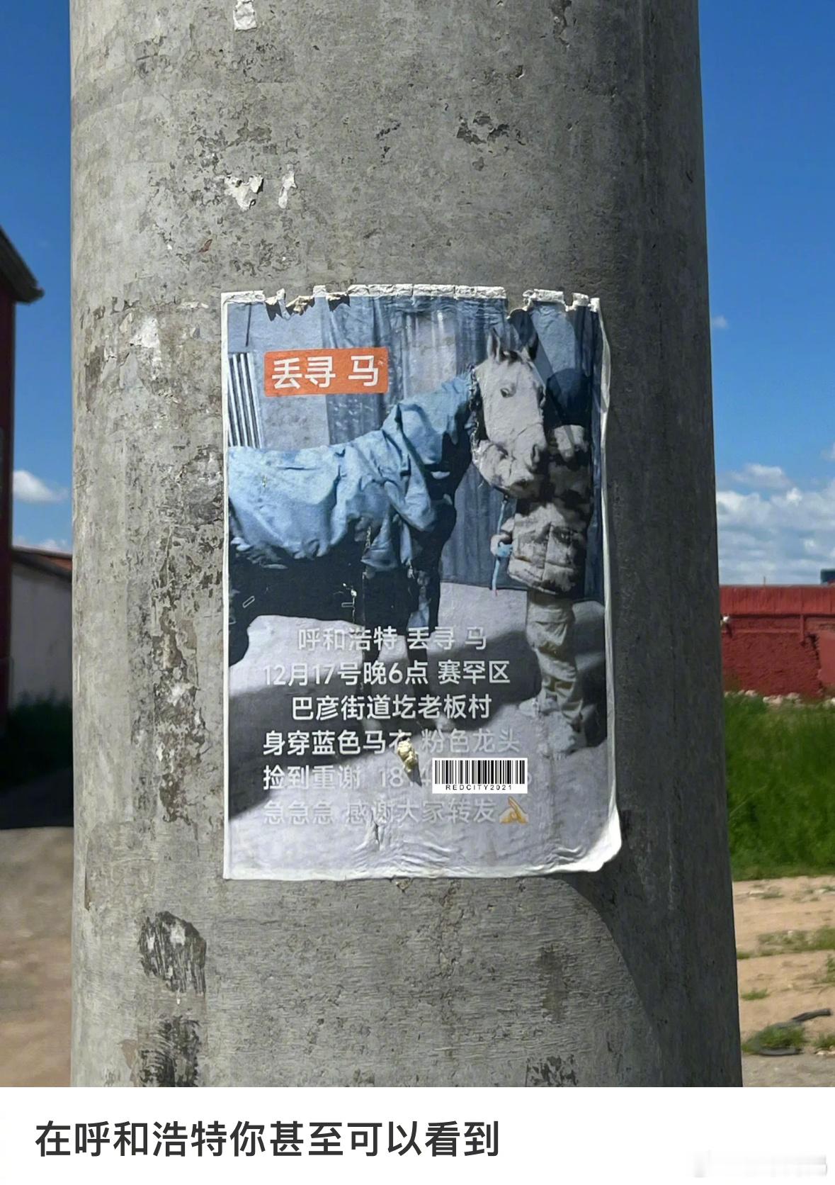 长这么大，第一次看到寻马启示！​​​