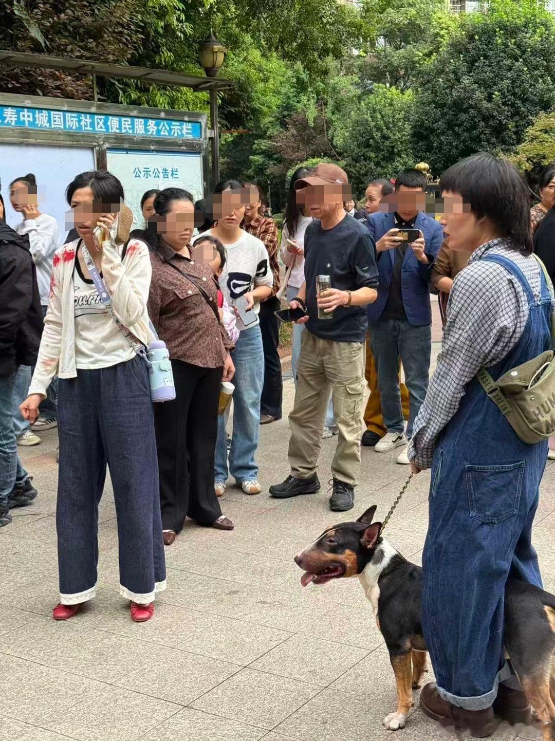 【#警方介入小区宠物狗咬伤多人#】近日，四川眉山，仁寿县某小区一位人员在小区内牵狗，狗咬伤多人（4-