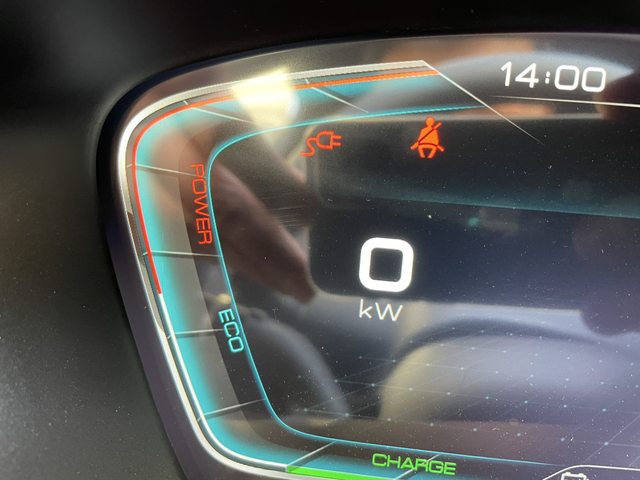 提车10天返厂修车开了490公里，无法充电，小电瓶没电，而且一直检测有充电枪链