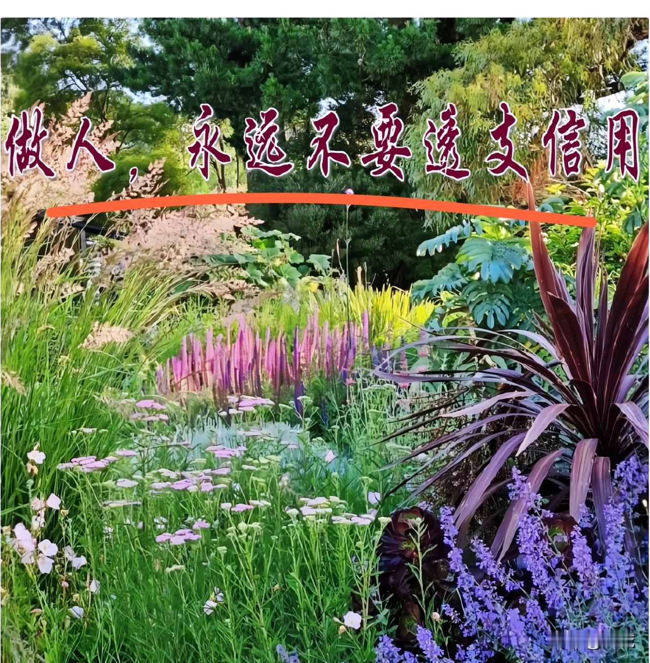 2800万一夜蒸发！粉丝惊呼：至于吗？真相让人心惊……9月15日，一则暧昧聊