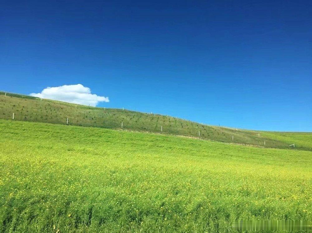 七八月的祁连卓尔山真的封神！丹霞、草原、青稞田、油菜花层层铺开，满眼缤纷色块，一