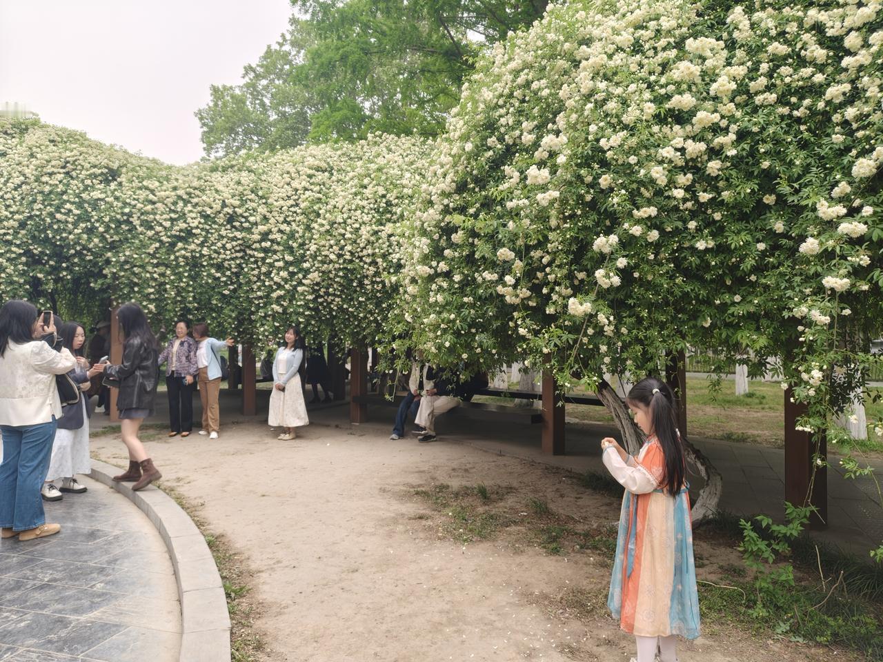 为什么有的孩子生下来就那么懂事？那么乖？我同学的孙子才刚满两岁，前几天同学两口