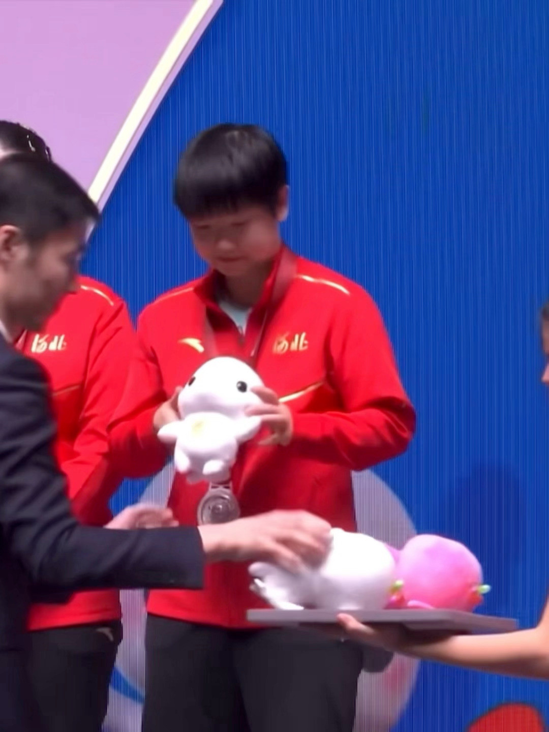 大湾鸡俺们宝宝有一对啦