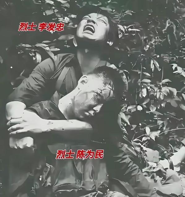 1987年老山战役，陈为民在攻打211高地时英勇牺牲，李发忠抱着他的遗体悲痛欲绝
