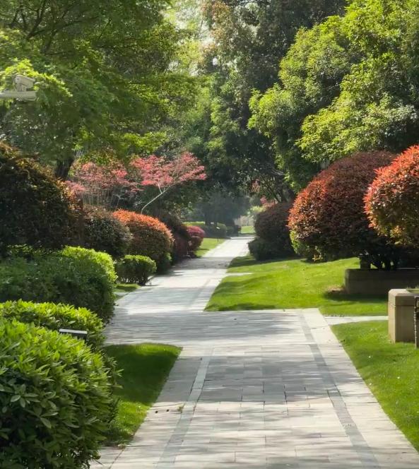 我家那套房子，住了不到一年我就想卖了。不是地段不好，也不是户型有问题——早上坐电