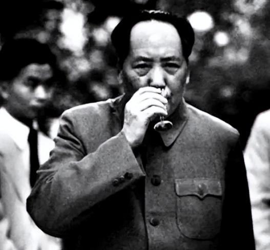 1966年，美方暗中谋划毒计，挑选出一位绝色女杀手潜入境内，伺机刺杀毛主席，没想