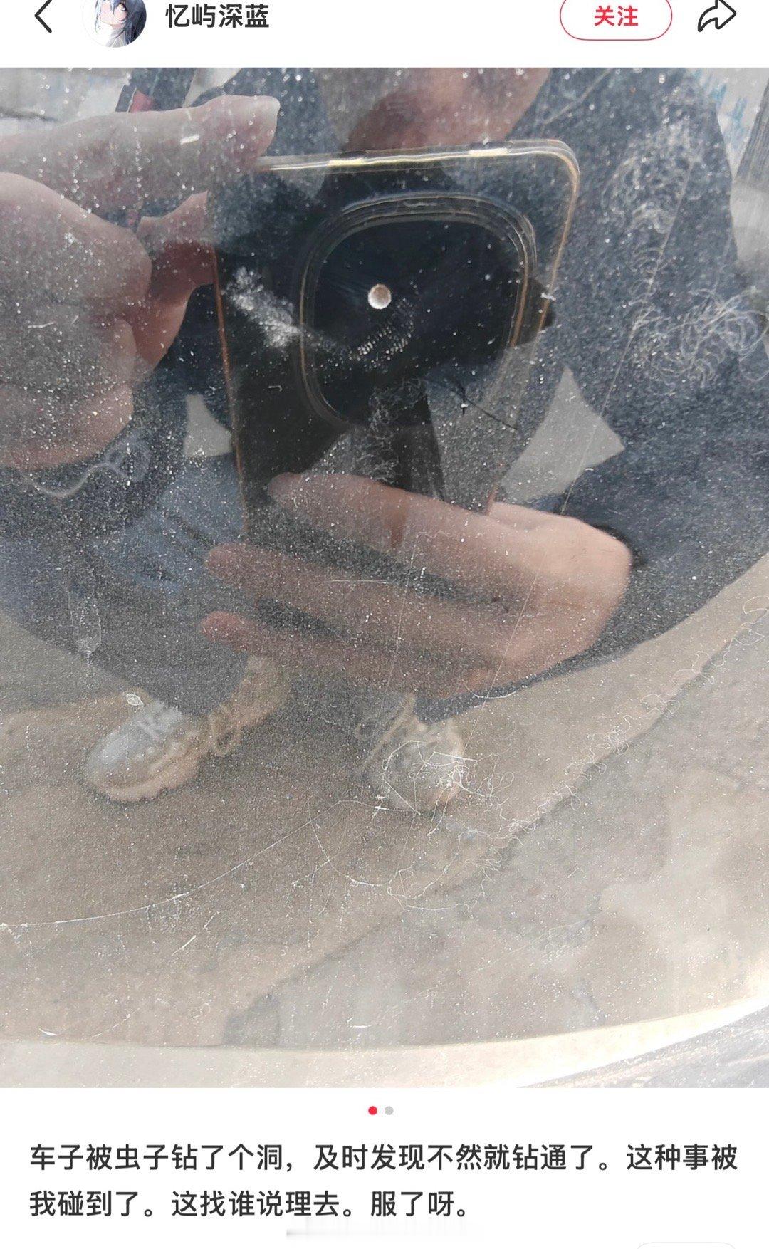 朋友们，你们在外面停车时，如果遇到栾树，把车停远点。这种树的虫子会啃车，一啃一个