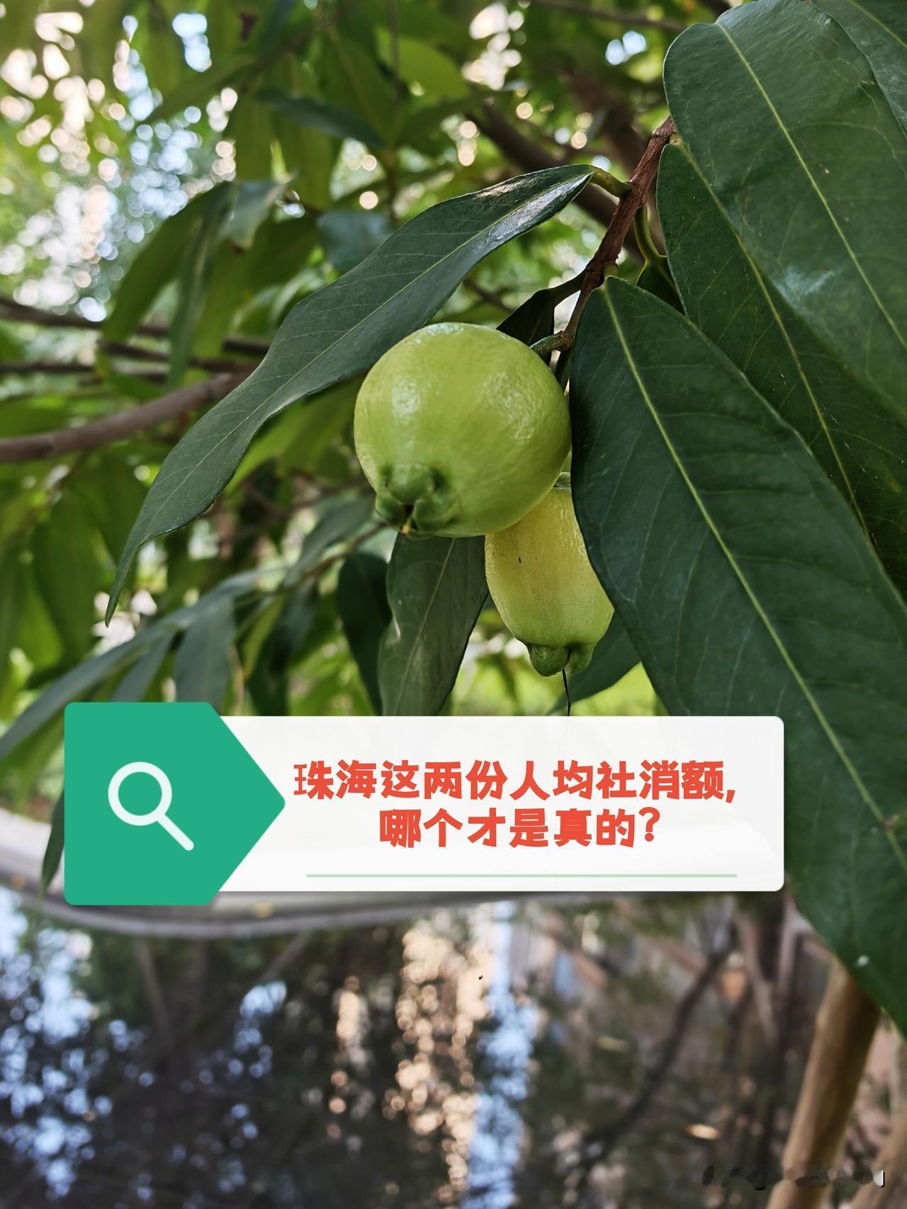 同样是在网上刷到的广东各市2026年一季度人均社消额排名，前面（图2）那张着实让
