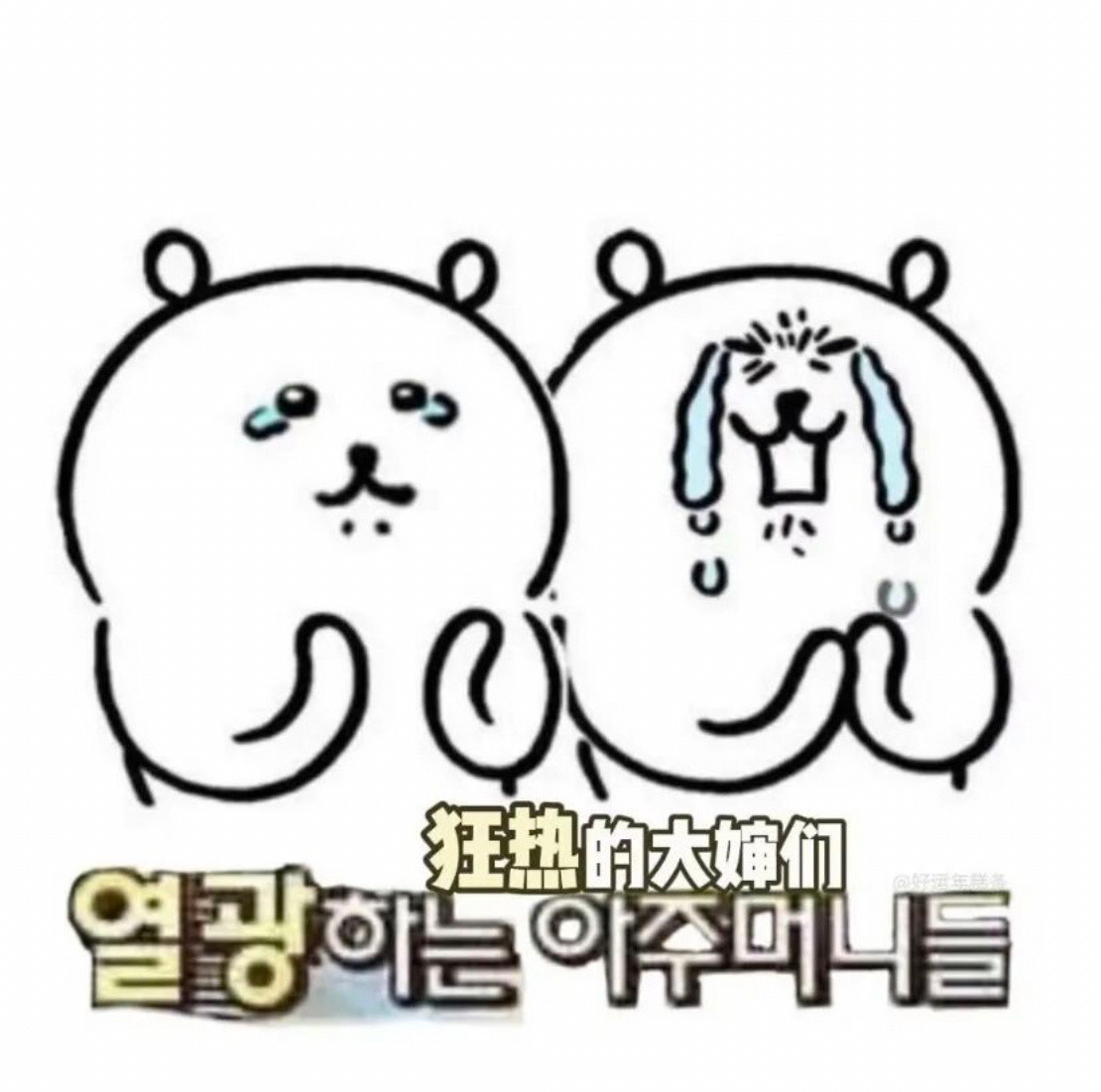 韩语梗图ㅠㅡㅠ
